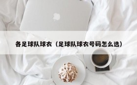 各足球队球衣(足球队球衣号码怎么选)