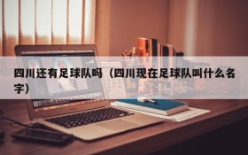 四川还有足球队吗(四川现在足球队叫什么名字)