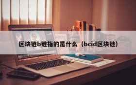 区块链b链指的是什么(bcid区块链)