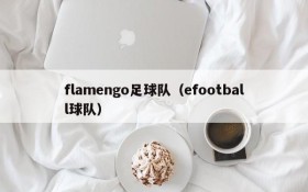 flamengo足球队(efootball球队)