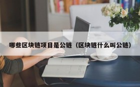 哪些区块链项目是公链(区块链什么叫公链)