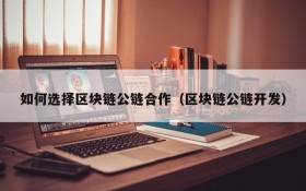 如何选择区块链公链合作(区块链公链开发)