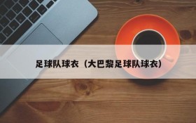 足球队球衣(大巴黎足球队球衣)