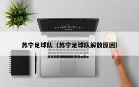 苏宁足球队(苏宁足球队解散原因)