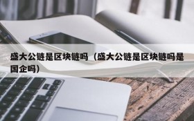 盛大公链是区块链吗(盛大公链是区块链吗是国企吗)