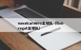 navalcarnero足球队(llobregat足球队)