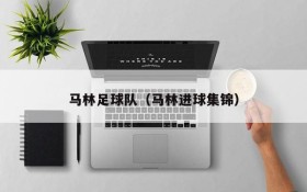 马林足球队(马林进球集锦)