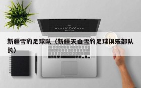 新疆雪豹足球队(新疆天山雪豹足球俱乐部队长)