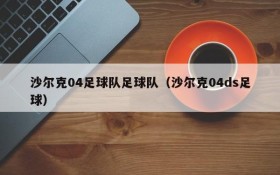 沙尔克04足球队足球队(沙尔克04ds足球)