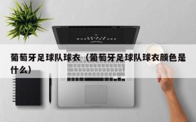 葡萄牙足球队球衣(葡萄牙足球队球衣颜色是什么)