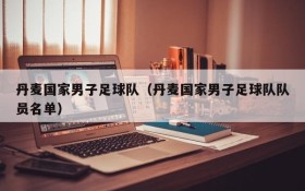 丹麦国家男子足球队(丹麦国家男子足球队队员名单)