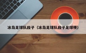 冰岛足球队段子(冰岛足球队段子足球梗)