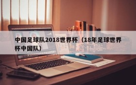 中国足球队2018世界杯(18年足球世界杯中国队)