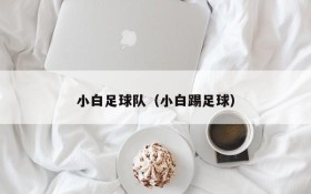 小白足球队(小白踢足球)
