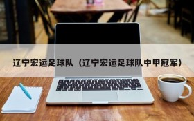 辽宁宏运足球队(辽宁宏运足球队中甲冠军)