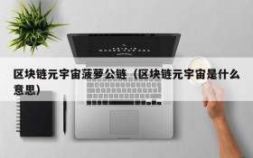 区块链元宇宙菠萝公链(区块链元宇宙是什么意思)