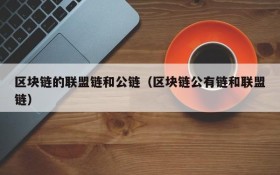 区块链的联盟链和公链(区块链公有链和联盟链)