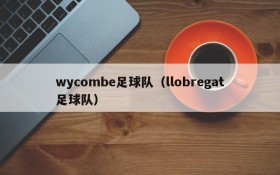 wycombe足球队(llobregat足球队)