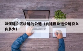 如何建立区块链的公链(自建区块链公链投入有多大)