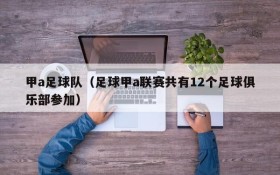 甲a足球队(足球甲a联赛共有12个足球俱乐部参加)