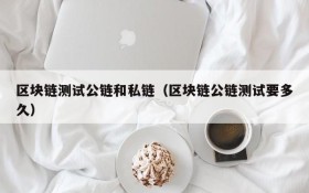 区块链测试公链和私链(区块链公链测试要多久)