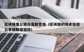 区块链是公链还是联盟链(区块链的技术包括公有链联盟链和)