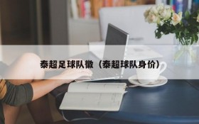 泰超足球队徽(泰超球队身价)
