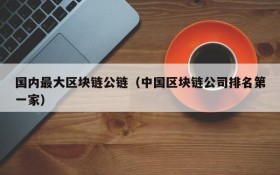 国内最大区块链公链(中国区块链公司排名第一家)