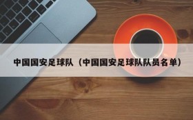 中国国安足球队(中国国安足球队队员名单)