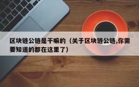 区块链公链是干嘛的(关于区块链公链,你需要知道的都在这里了)