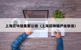 上海区块链集聚公链(上海区块链产业联盟)