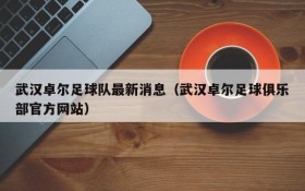 武汉卓尔足球队最新消息(武汉卓尔足球俱乐部官方网站)