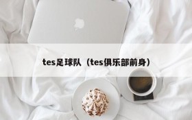 tes足球队(tes俱乐部前身)