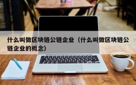 什么叫做区块链公链企业(什么叫做区块链公链企业的概念)