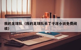 我的足球队(我的足球队长丁子洋小说免费阅读)