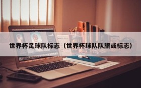 世界杯足球队标志(世界杯球队队旗或标志)