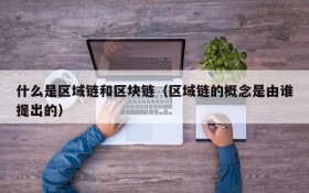 什么是区域链和区块链(区域链的概念是由谁提出的)