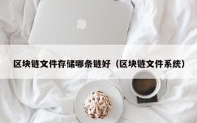 区块链文件存储哪条链好(区块链文件系统)