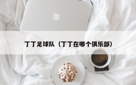 丁丁足球队(丁丁在哪个俱乐部)