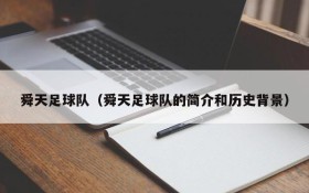 舜天足球队(舜天足球队的简介和历史背景)