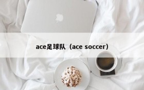 ace足球队(ace soccer)