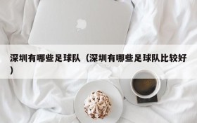 深圳有哪些足球队(深圳有哪些足球队比较好)