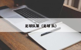 足球队莱(足球 队)