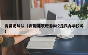 青苗足球队(青苗国际双语学校是民办学校吗)