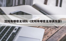沈阳有哪些足球队(沈阳有哪些足球俱乐部)