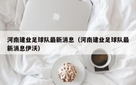 河南建业足球队最新消息(河南建业足球队最新消息伊沃)