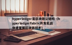 hyperledger是区块链公链吗(hyperledgerfabric开发实战快速掌握区块链技术)