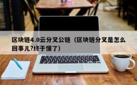 区块链4.0云分叉公链(区块链分叉是怎么回事儿?终于懂了)
