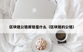 区块链公链原链是什么(区块链的公链)