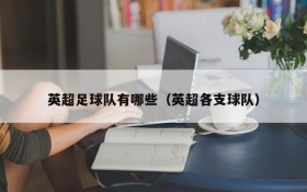 英超足球队有哪些(英超各支球队)